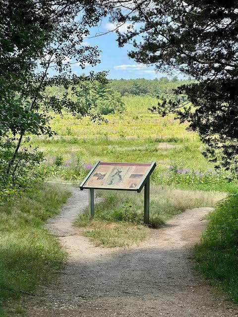 Cranberry Bog